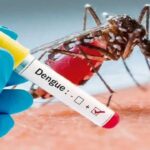 Dengue Platelets
