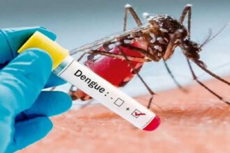 Dengue Platelets