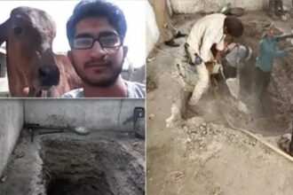 Gujarat Murder Case