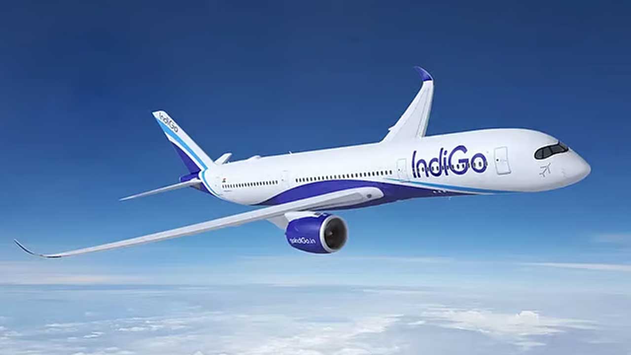 indigo.1