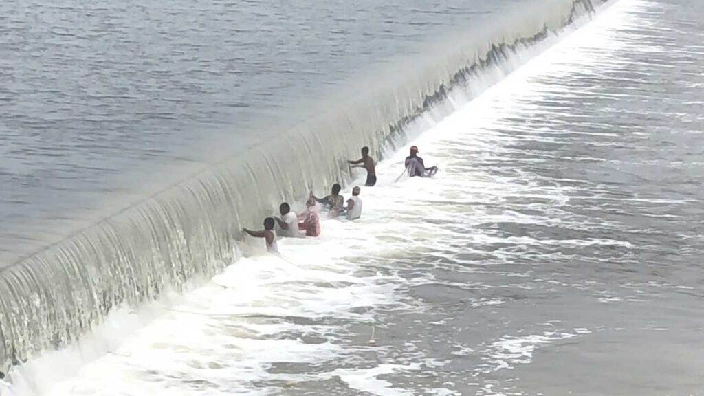 Manjeera River Flow |