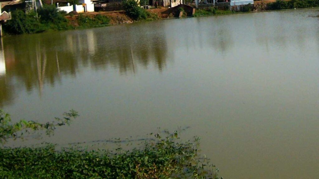 pond 2