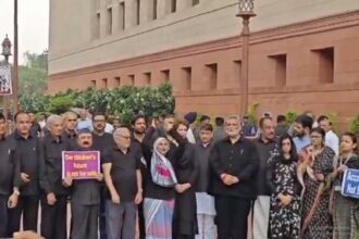 Parliament Protest
