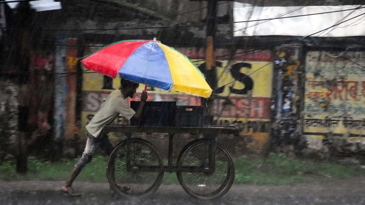 Heavy Rain Alert