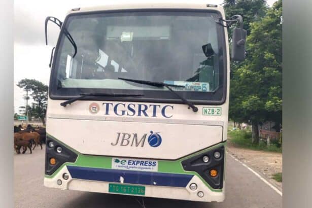 Electric Bus Breakdown |