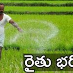 Rythu Bharosa Funds
