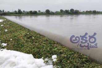 Nizamabad Streams Overflow |