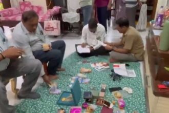 ACB Raids