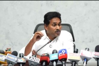 AP DSC Irregularities