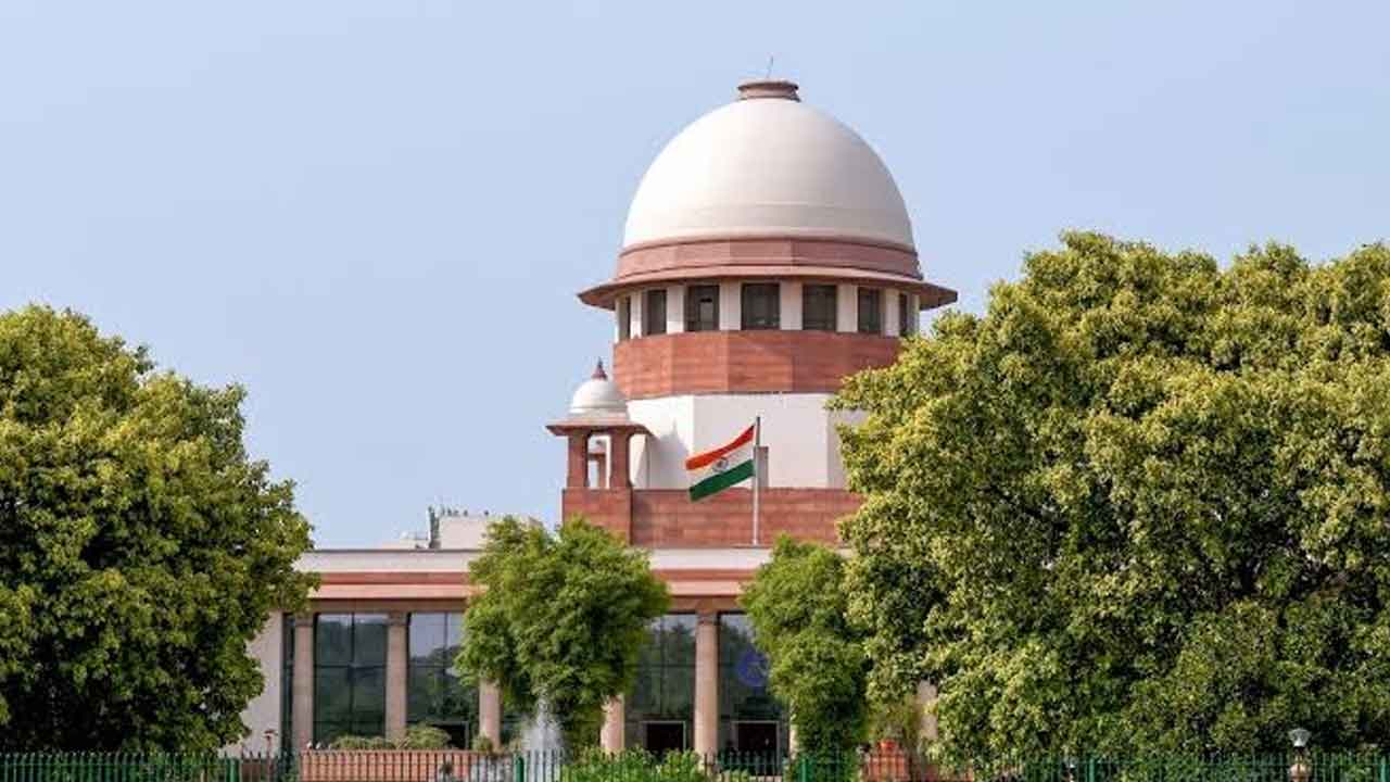 CJP Protest Probe