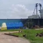 CMR Rice Scam