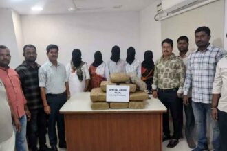 Cannabis Trafficking