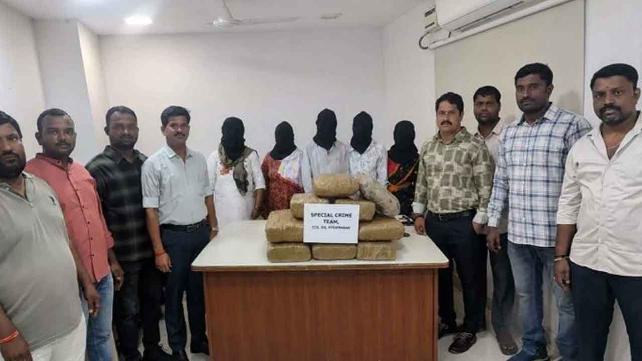 Cannabis Trafficking