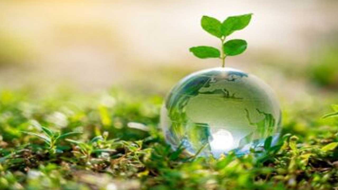 Habitat Matters