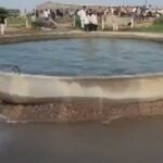 Gujarat Well Waves