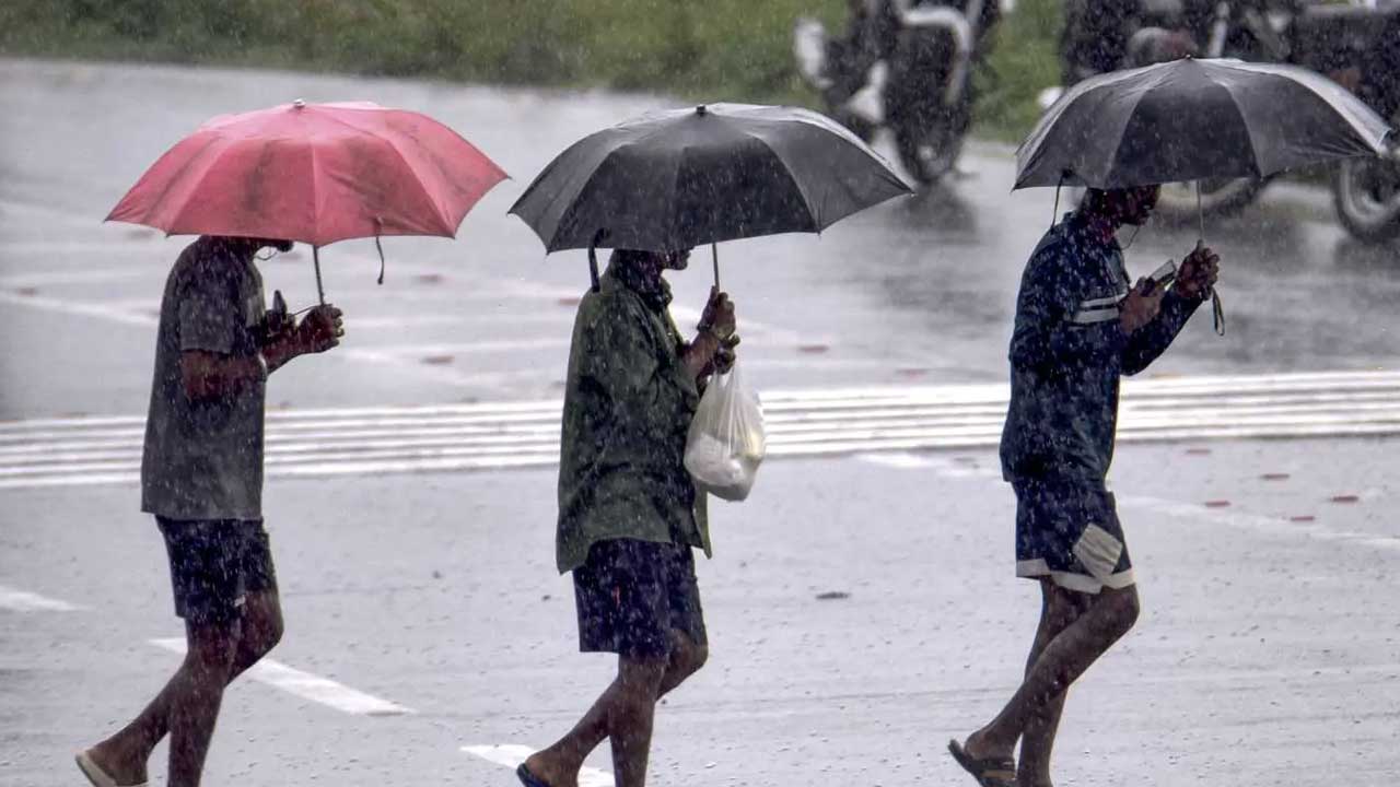 Heavy Rain Alert