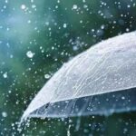 Heavy Rain Alert
