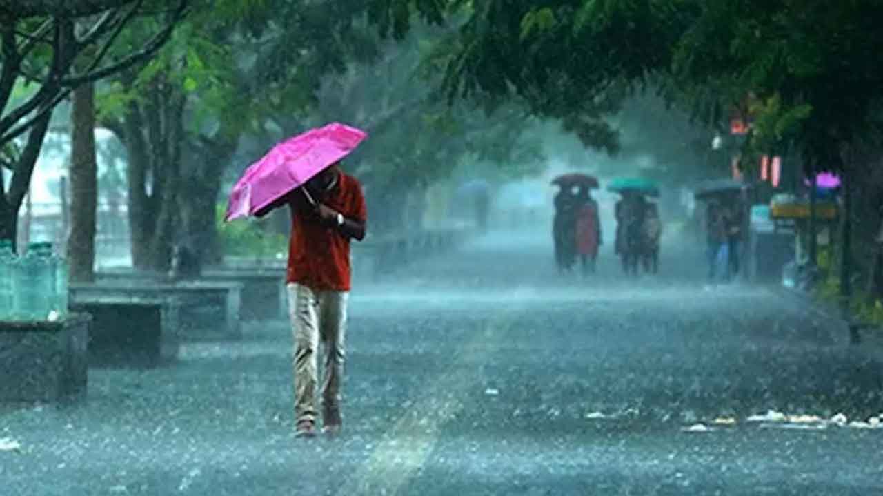 Heavy Rain Alert