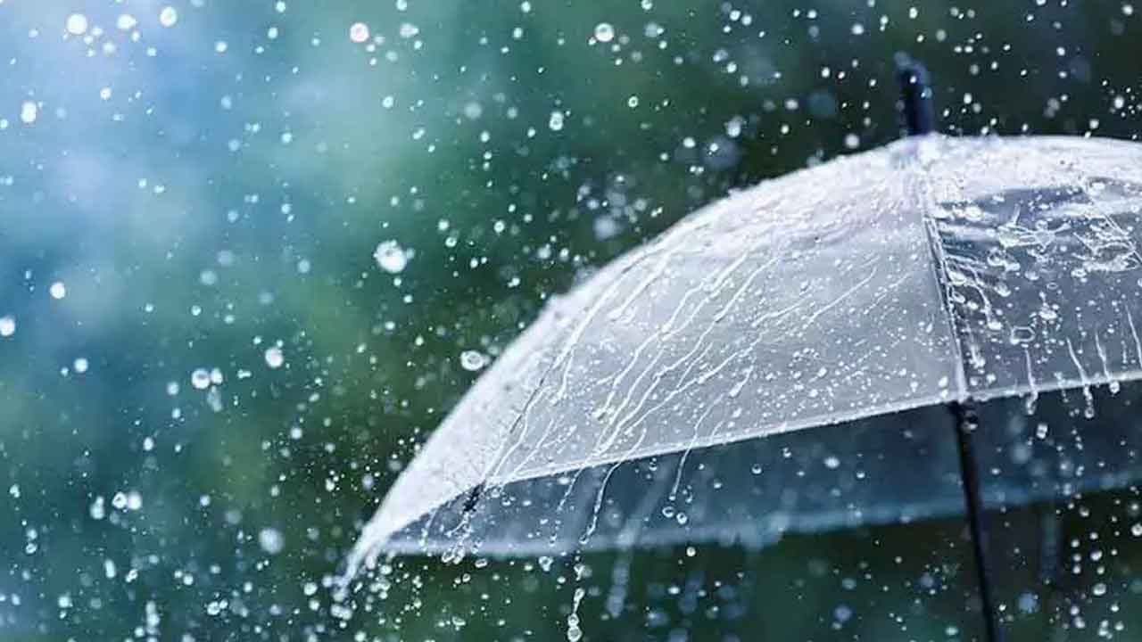 Heavy Rain Alert