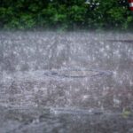 Heavy Rains