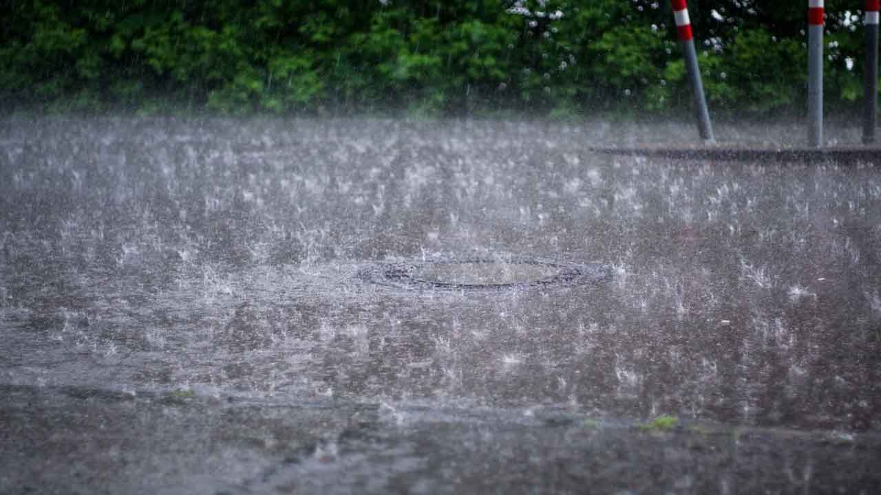 Heavy Rains