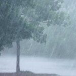 Telangana Heavy Rains