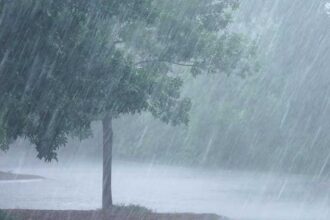 Telangana Heavy Rains
