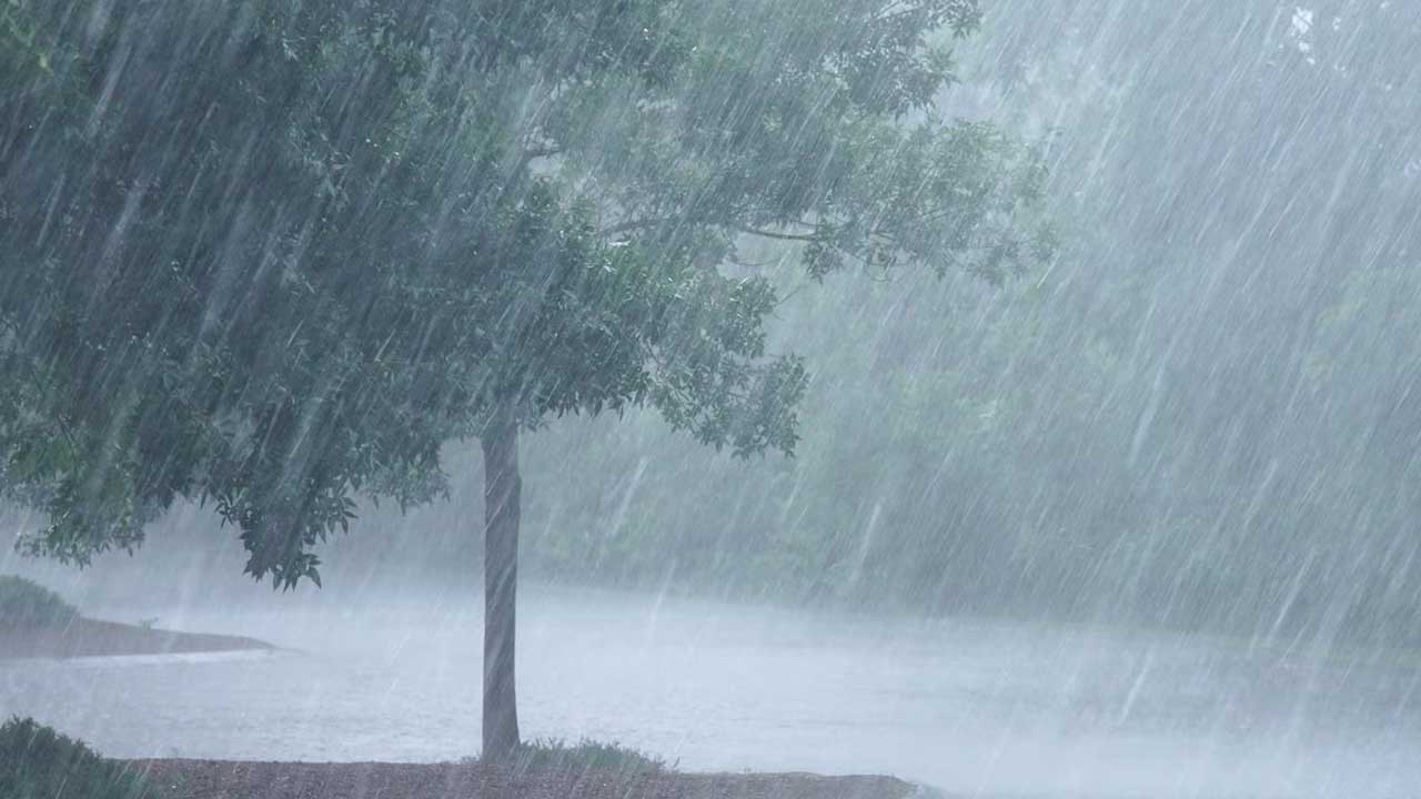 Telangana Heavy Rains