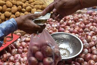 Onion Prices