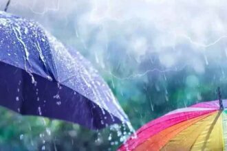 Rain Alert