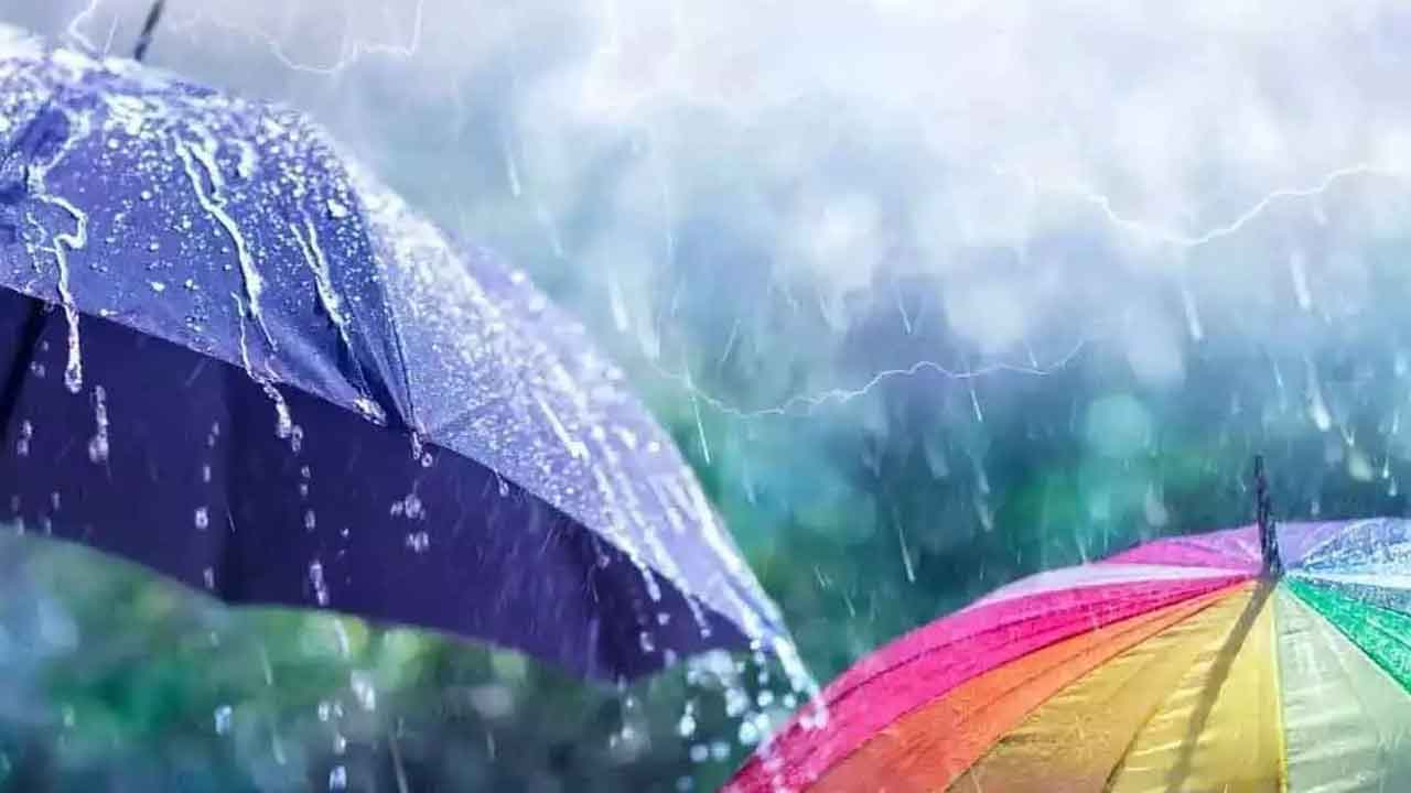 Rain Alert