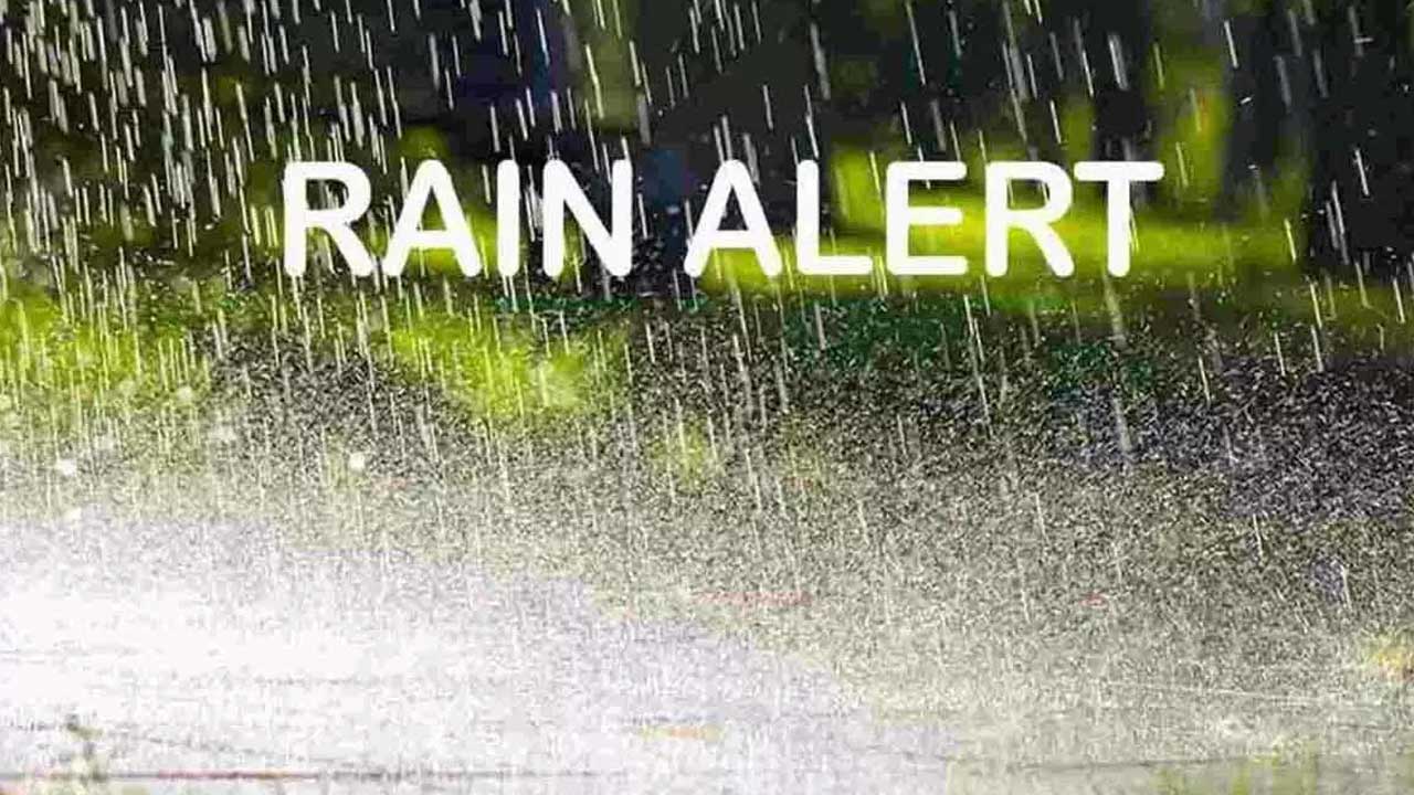 Rain Alert