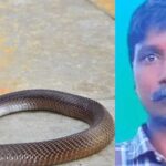 Snake Bite Death