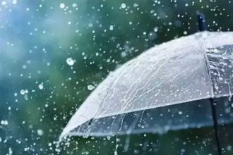 Telangana Light Rain
