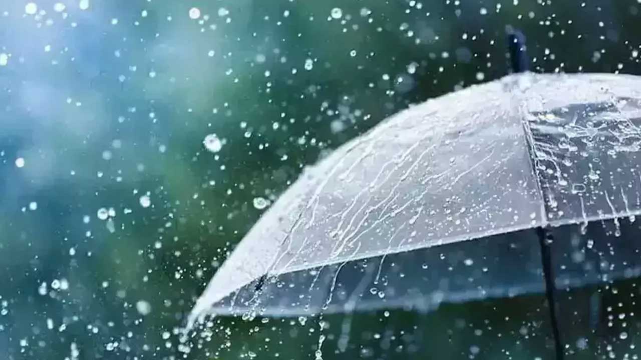 Telangana Light Rain