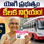 UP Free Bus Travel