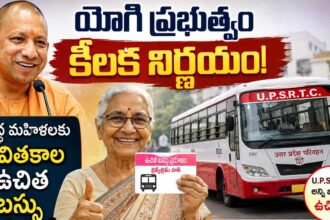 UP Free Bus Travel