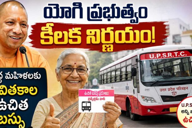 UP Free Bus Travel