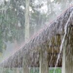 Weather Update
