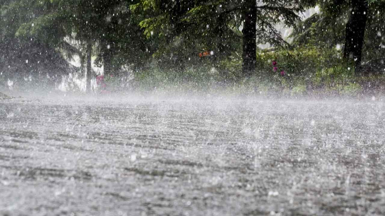 Weather Update
