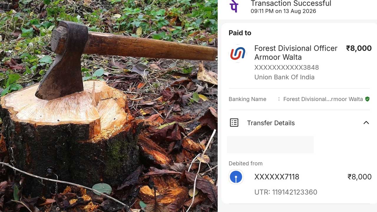 Tree Cutting Fine