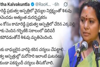 Kamareddy Newborn Death