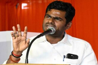 Annamalai Film Remarks