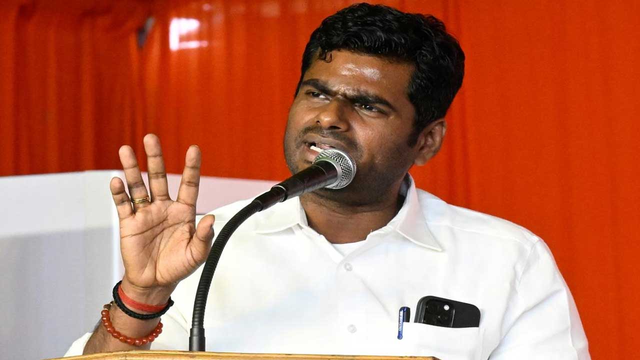 Annamalai Film Remarks