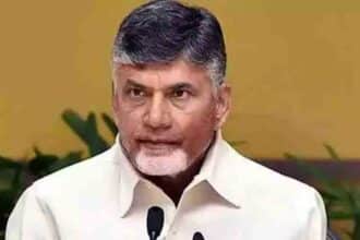AP Economic Growth