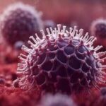 Chandipura Virus