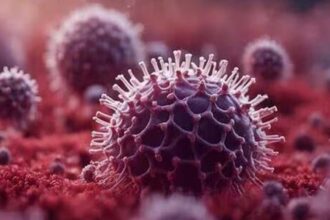 Chandipura Virus