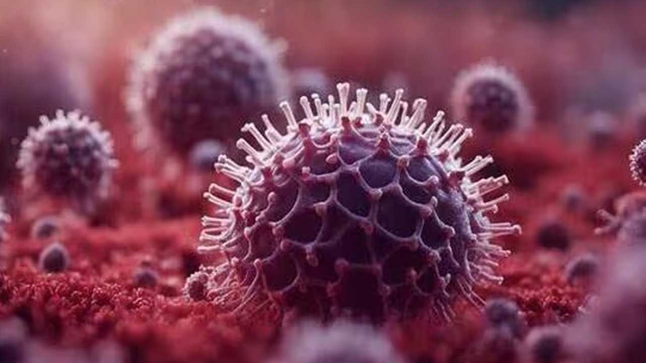 Chandipura Virus