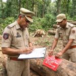 Illegal Tree Cutting |