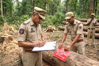 Illegal Tree Cutting |